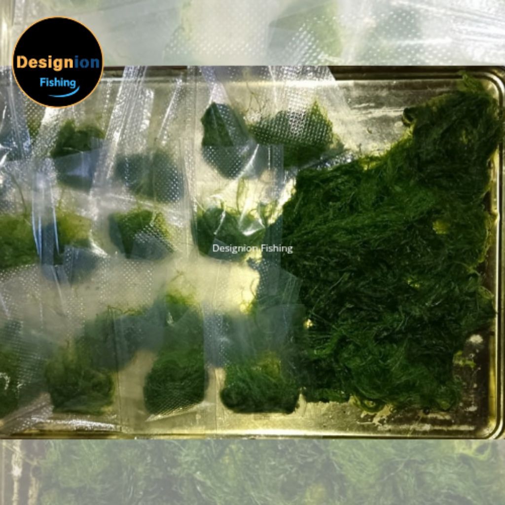 DESIGNION Umpan Lumut Segar Mancing