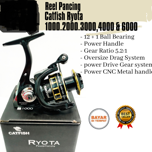 Reel Spinning Catfish Ryota 3000