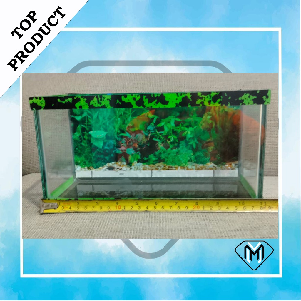 aquarium aquarium minimalis yang cocok untuk ikan cana , cupang