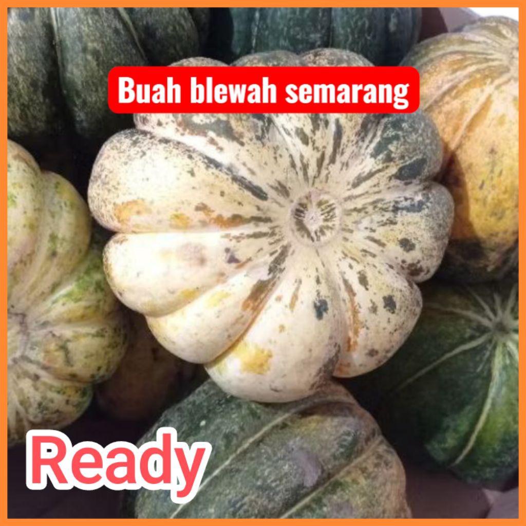 Buah blewah segar per biji