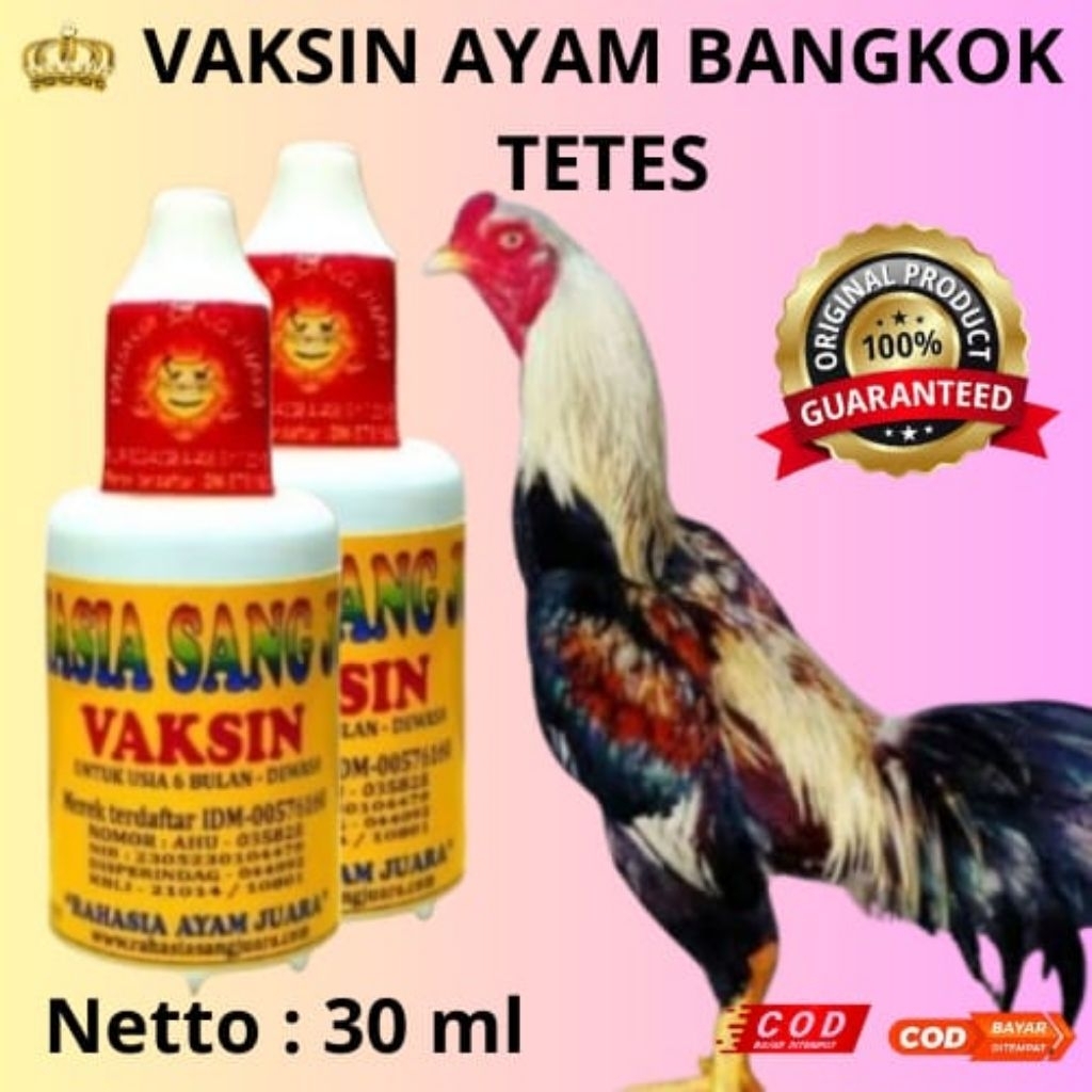 VAKSIN TETES AYAM BANGKOK USIA 6 BULAN - DEWASA
