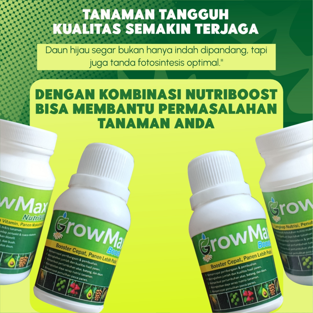 Growmax Paket Lengkap | Perangsang Bunga & Buah, Penguat Akar dan Daun
