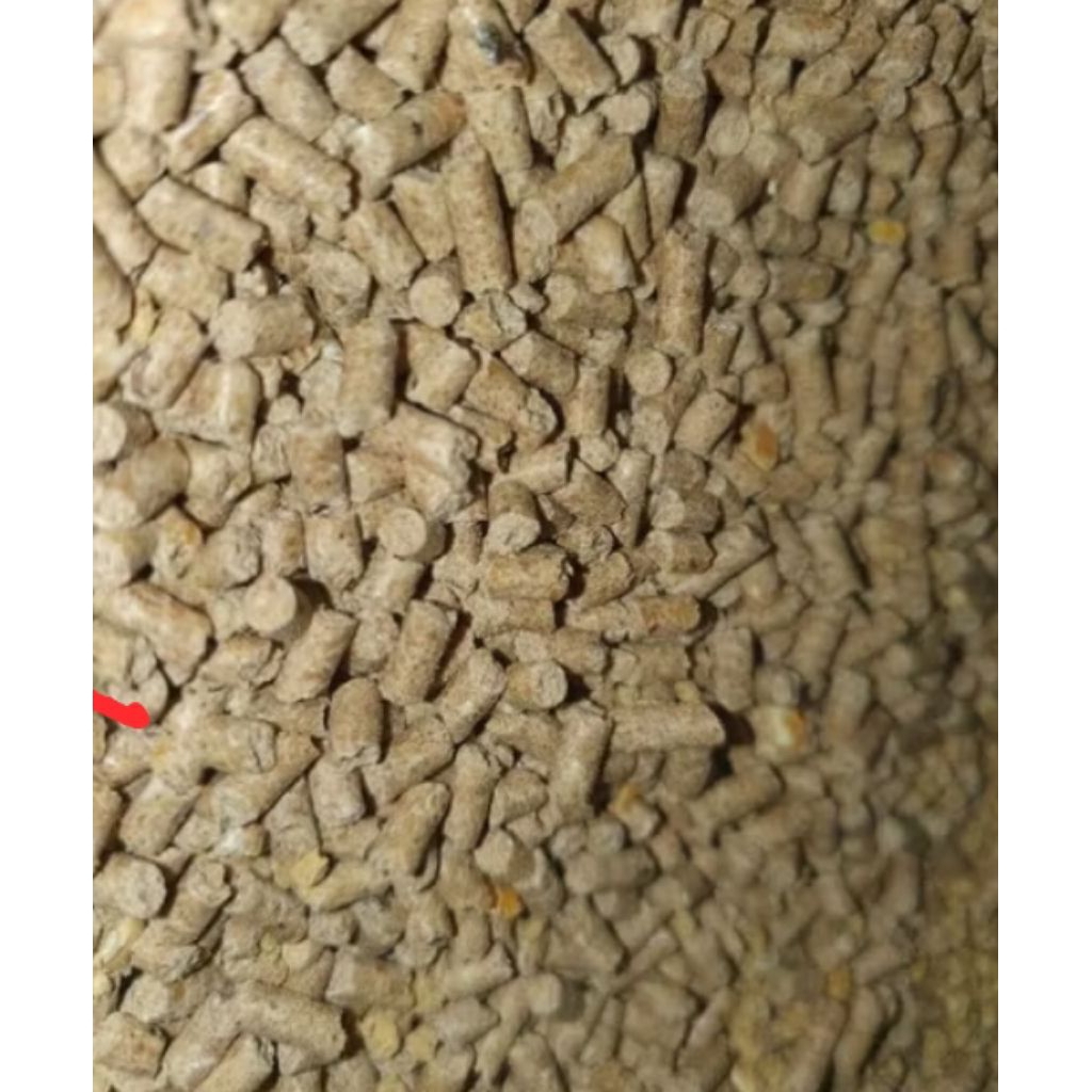 Pur Ayam 594 Hi Pro Vite 1Kg