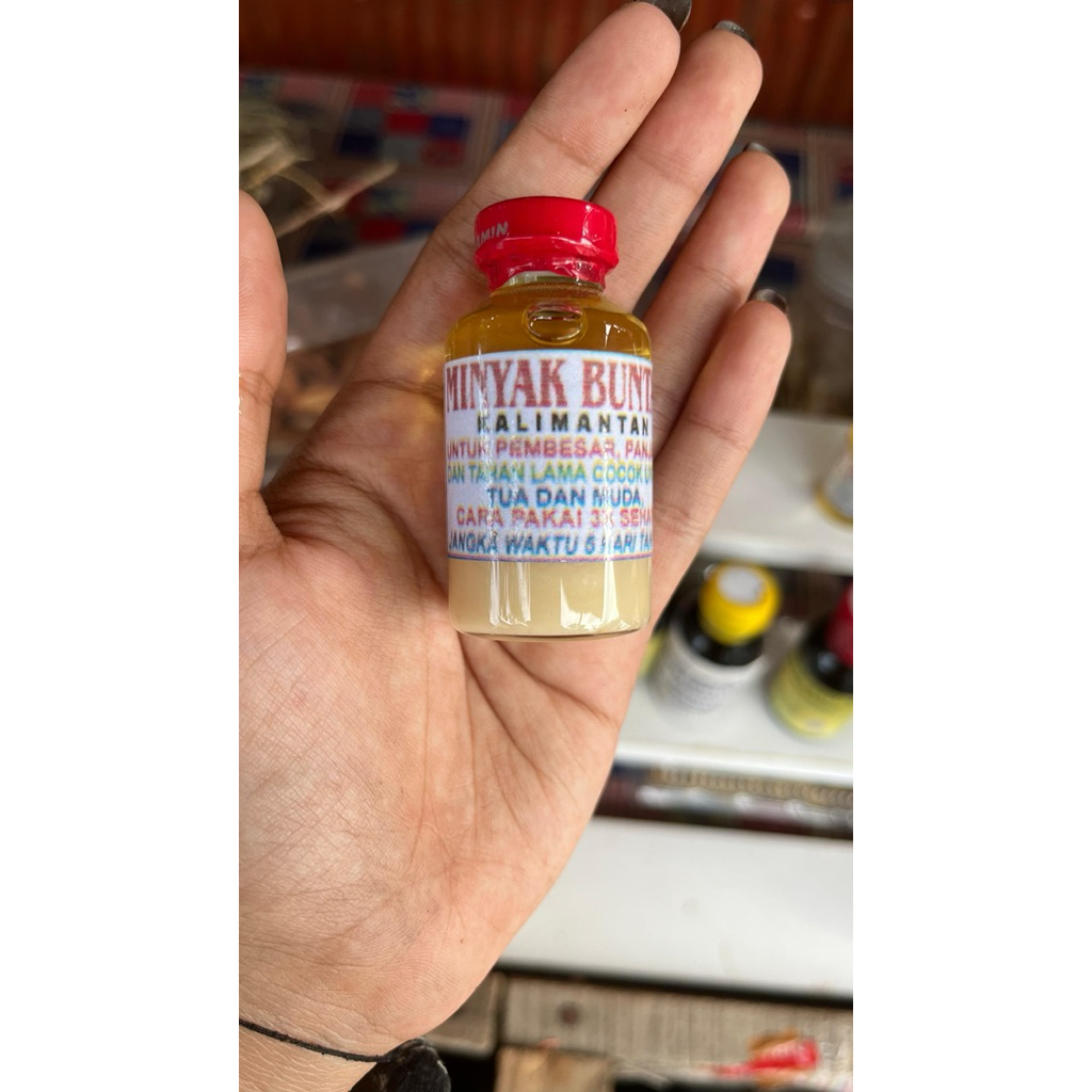 minyak buntal asli