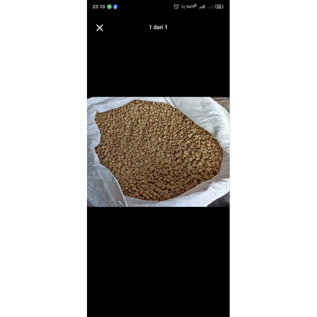 greenbean/bijikopi petik merah robusta fine