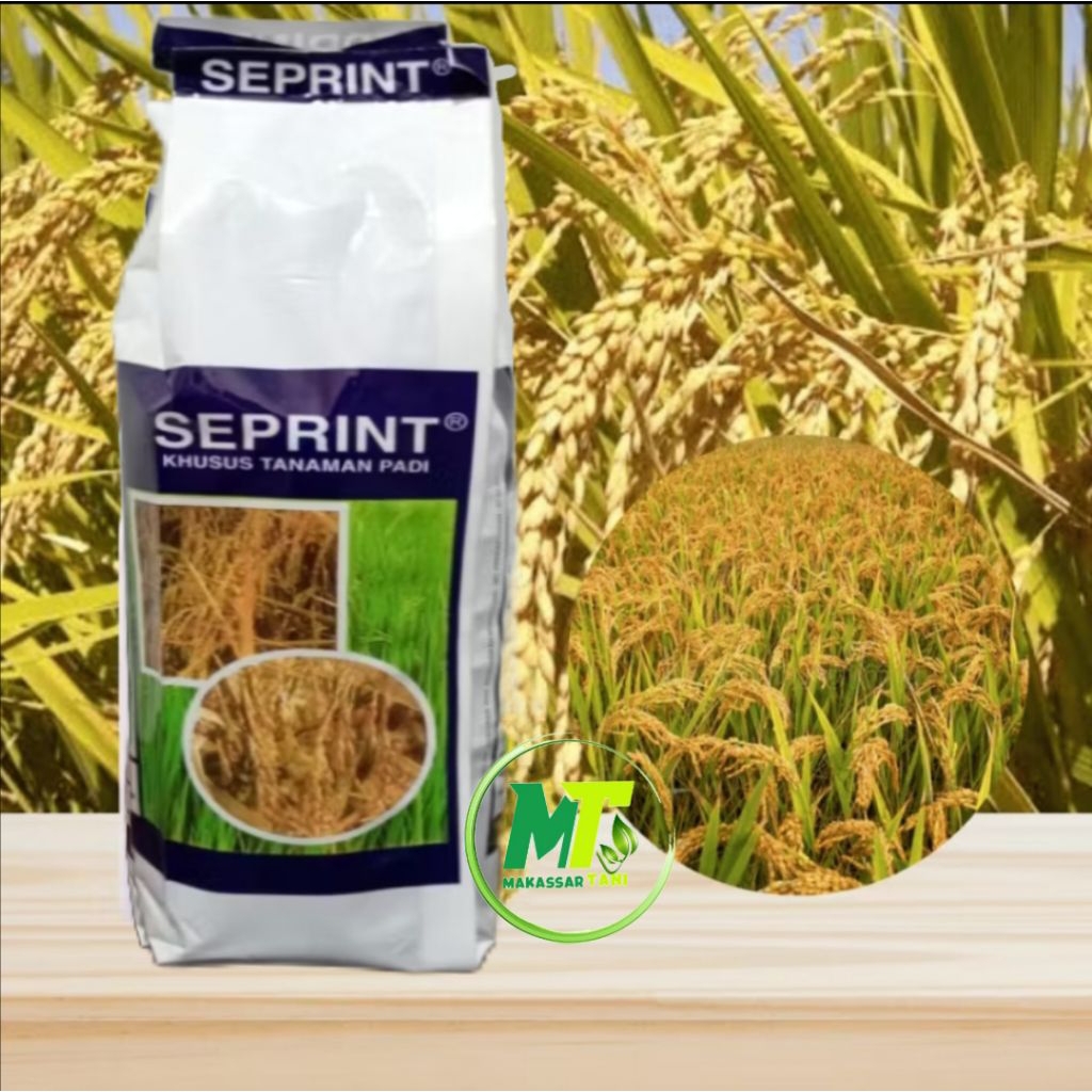 PUPUK CAIR SEPRINT PADI 500ML, PUPUK CAIR DAUN, BUNGA, BUAH UNTUK  PADI