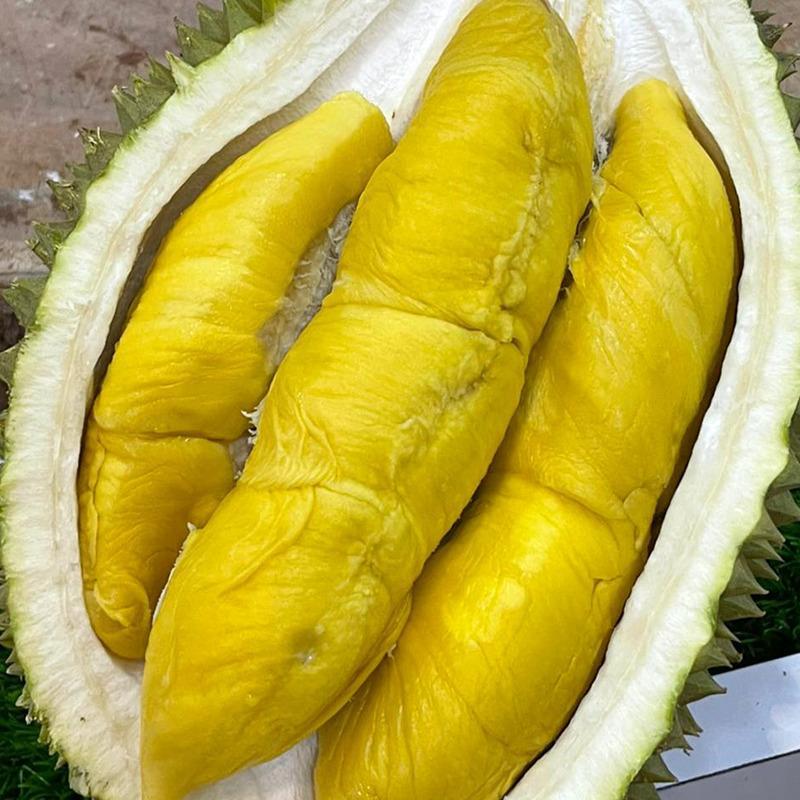 Durian Musang King Original Utuh 1Kg | Durian Musang King Asli Malaysia 1Kg