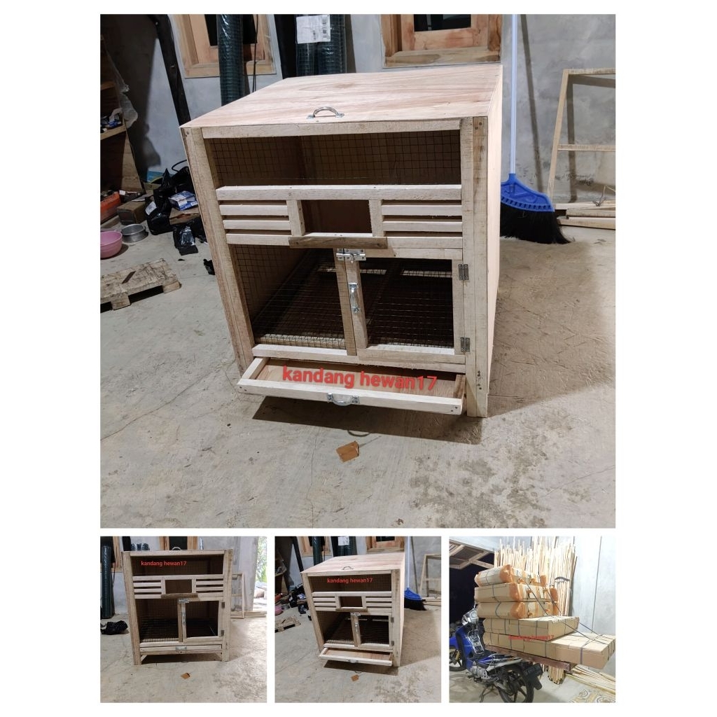 kandang ayam jago / kandang ayam minimalis