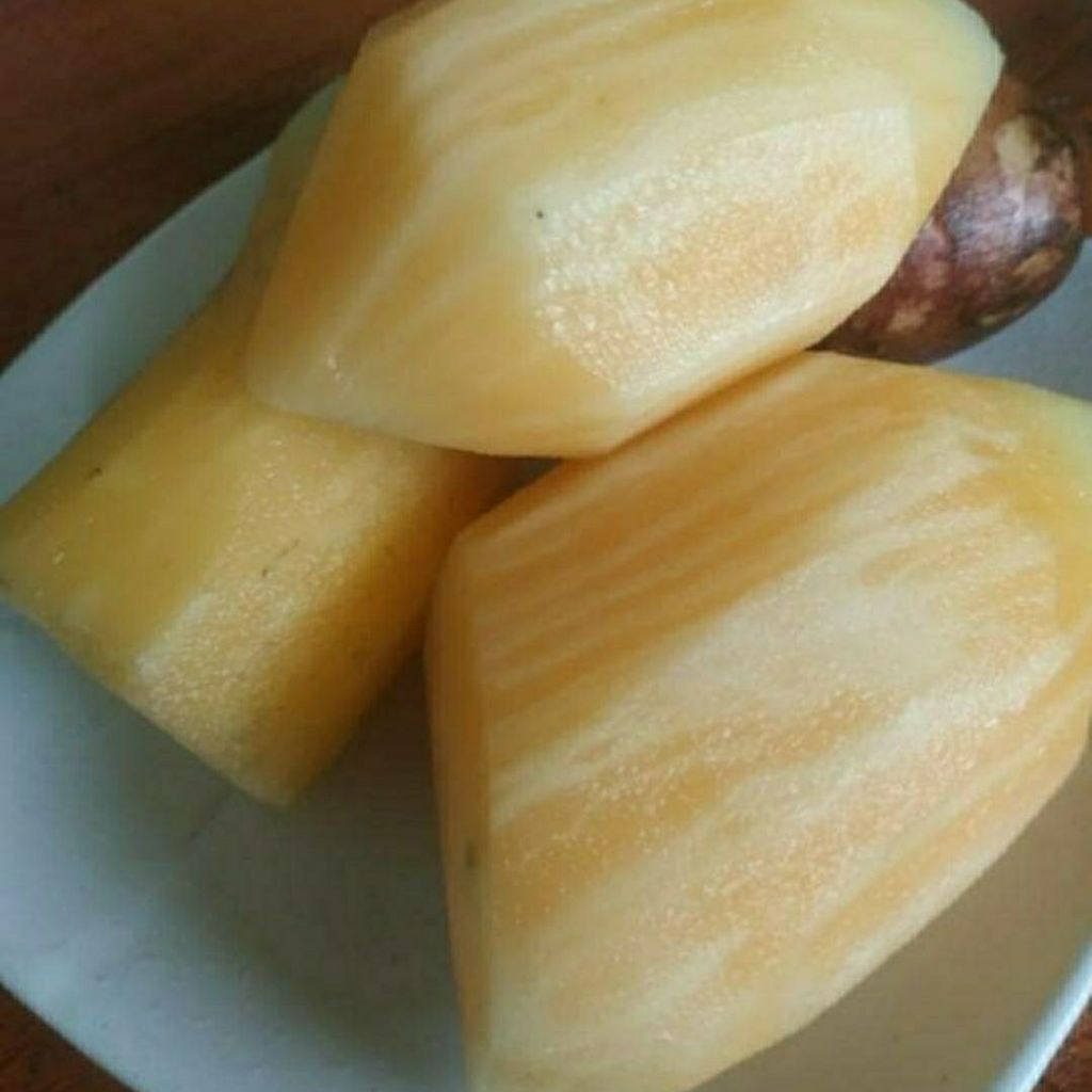 Ubi yakon / Umbi Yakon asli Wonosobo