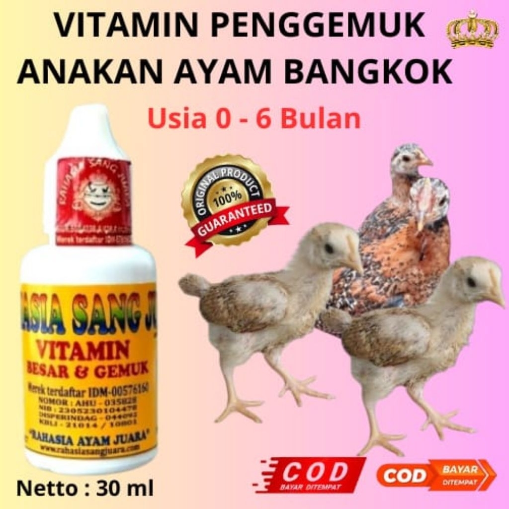 VITAMIN PENGGEMUK ANAKAN AYAM UMUR 1- 6 BULAN