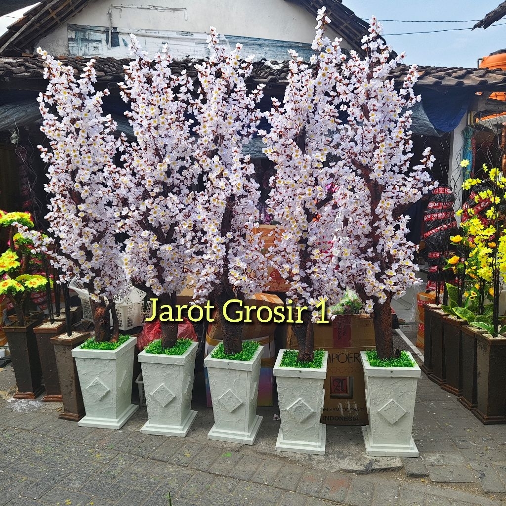 BUNGA HIAS SAKURA ARTIFICIAL TINGGI 2 METER VAS KAYU PUTIH HIASAN DEKORASI RUANG SUDUT HARI RAYA TER