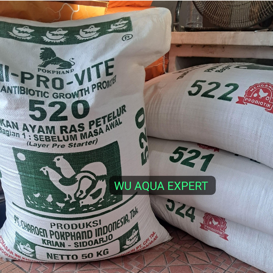 1 SAK 50KG 520 521 522 Pakan Ayam Petelur Starter DOC Grower  Layer (Masa Awal Petelur) CP 112 Konse