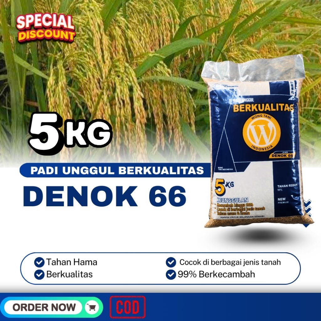 BENIH PADI UNGGUL SI DENOK SUPER 66