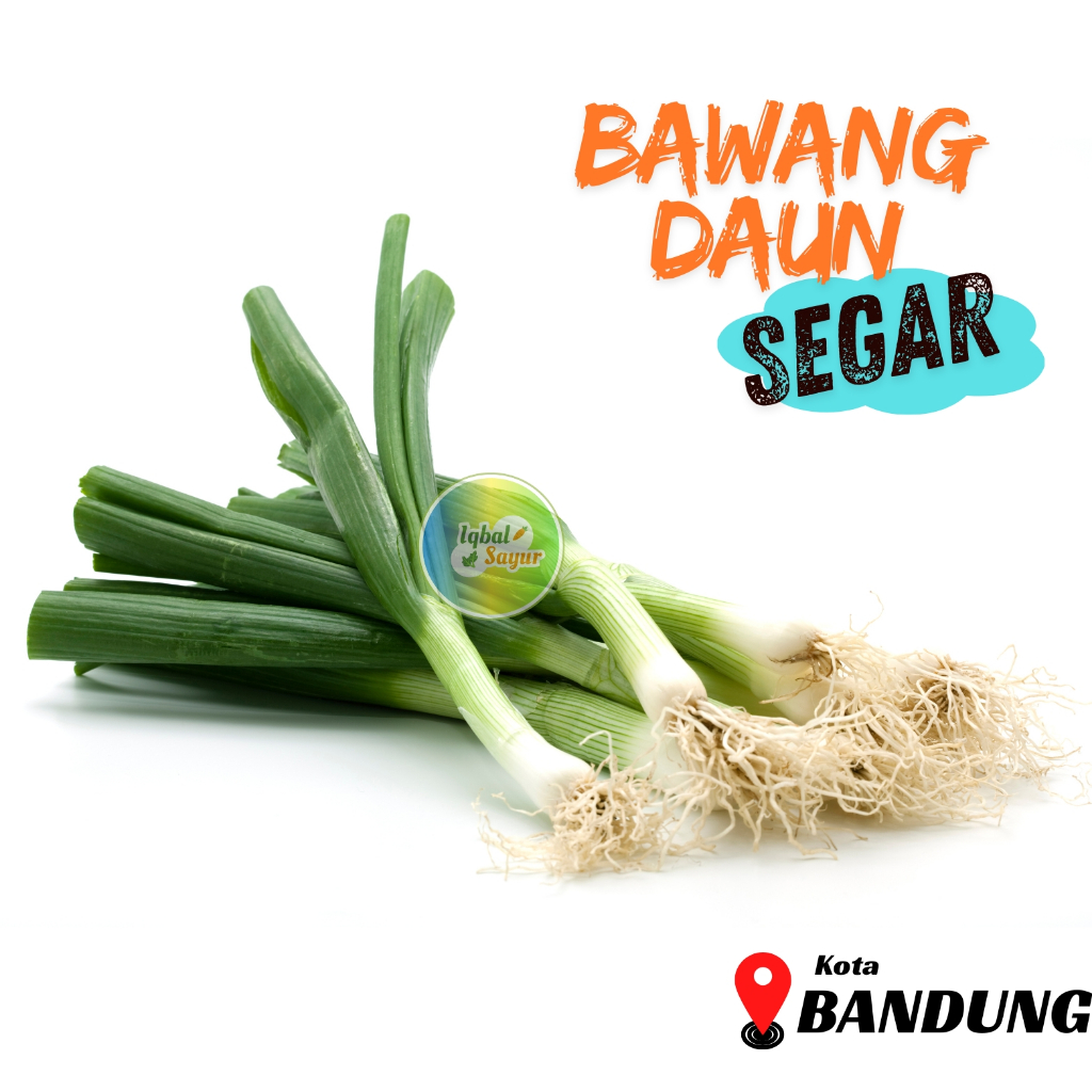 Bawang Daun Segar Bandung