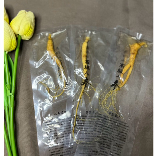 [20gr] Akar ginseng asli pegunungan changbai 100% Ginseng PANAX Asli