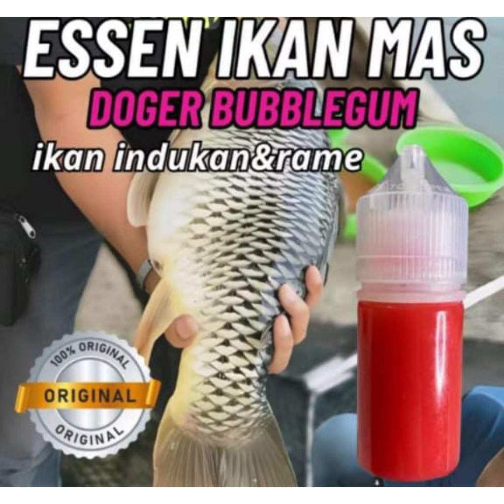 Essen ikan mas paling gacor aroma Doger bublegum  Essen ikan mas amis wangi, esen ikan mas indukan/h