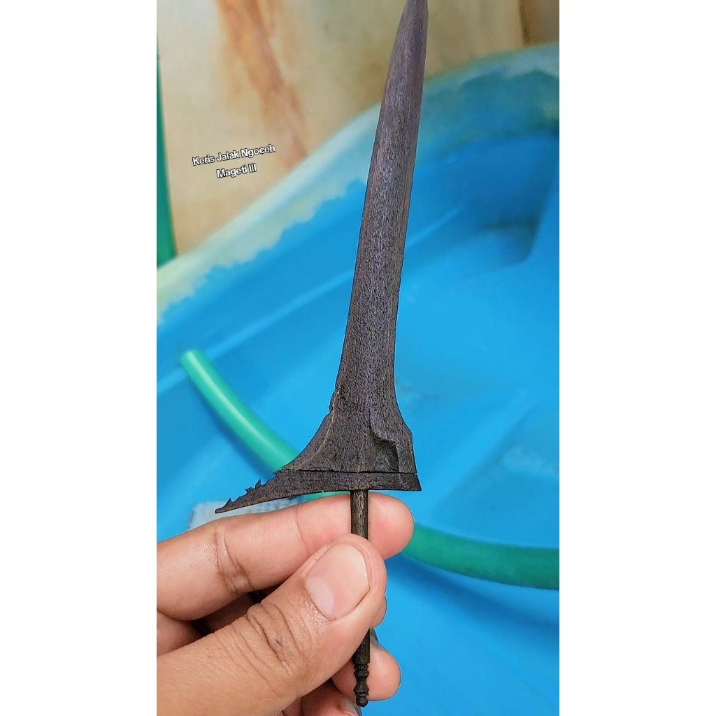 Keris Jalak Ngoceh Mageti 3 Jimatan