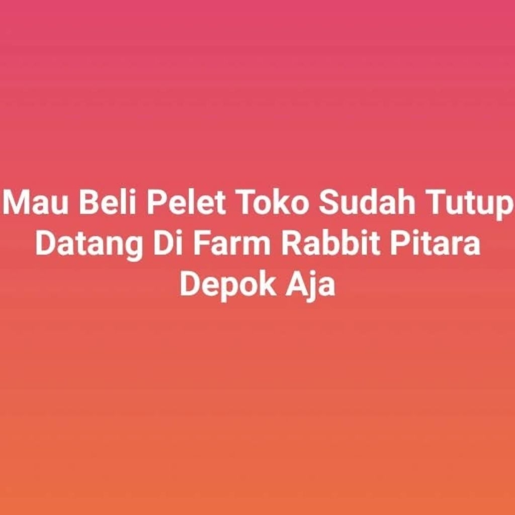 pelet kelinci