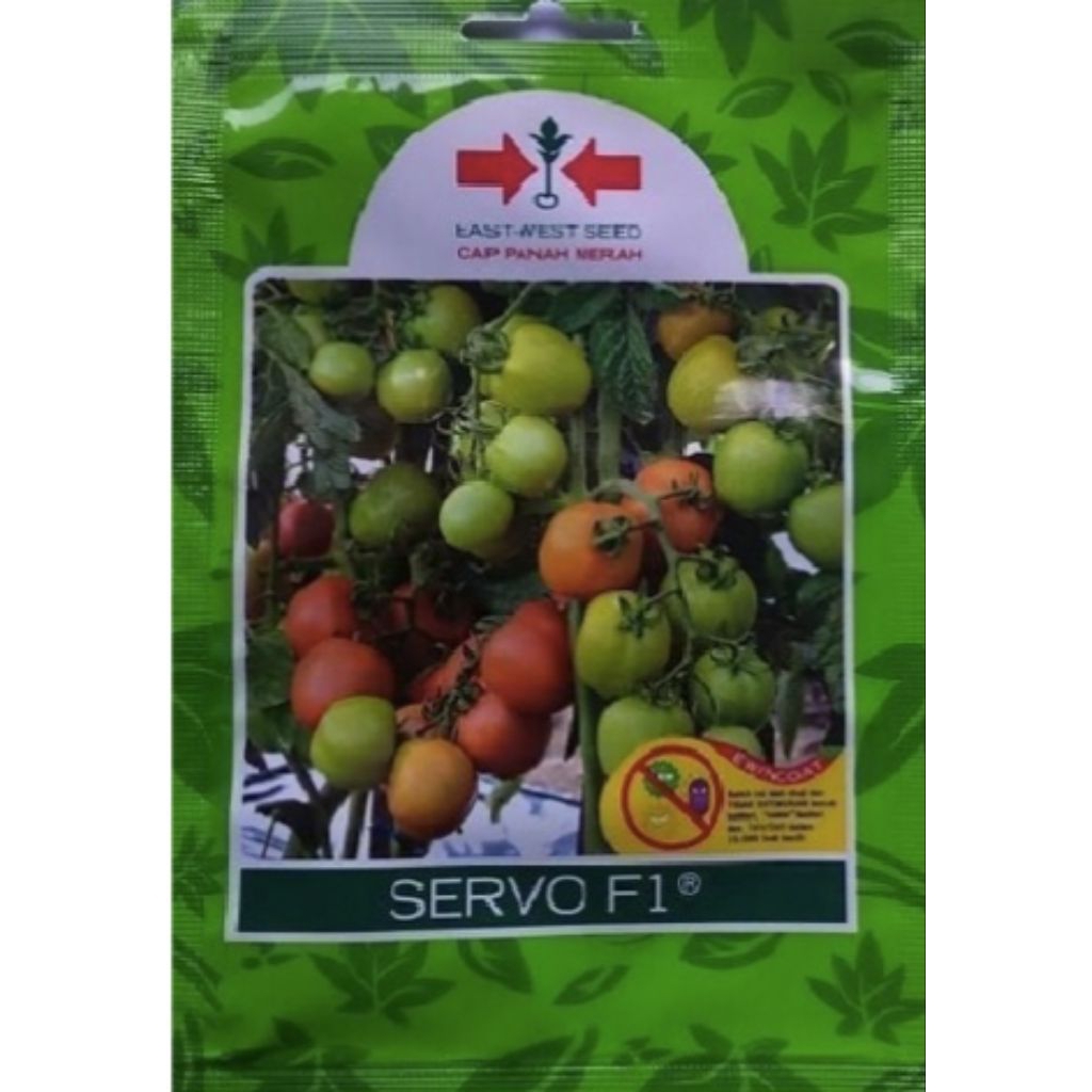 benih tomat servo F1