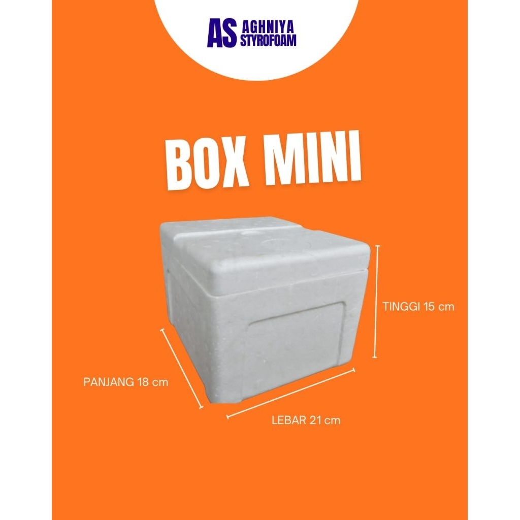 BOX STYROFOAM MINI / BOX 1 KG