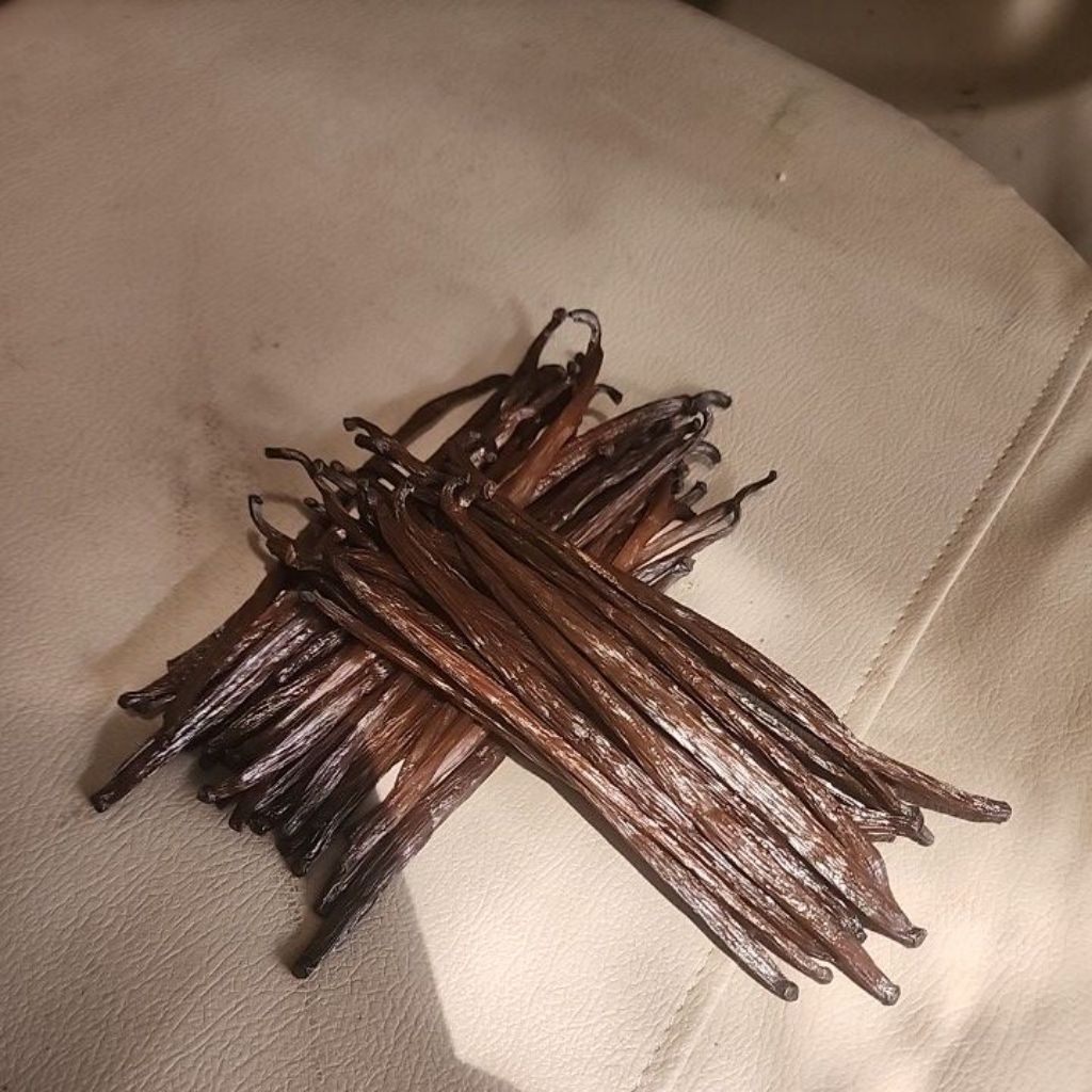 

50 gr isi 14 pod vanilla planifolia gourmet super