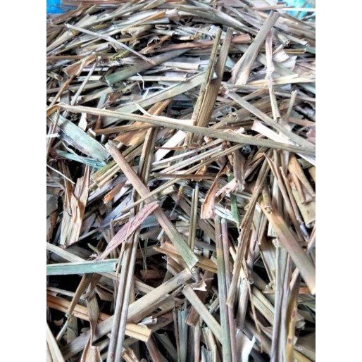 Daun Suji Kering 250 gram / Daun Suji Kering 100 gram Herbal 100% Organik