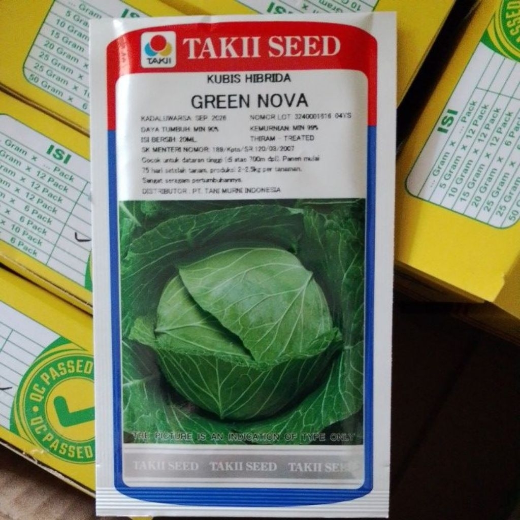 BIBIT/BENIH KUBIS HIBRIDA GREEN NOVA  20gram