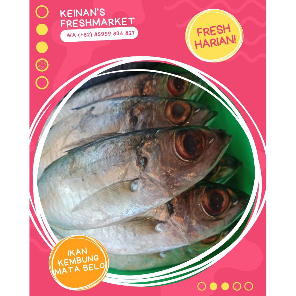 

Ikan Kembung Mata Belo Fresh 1kg