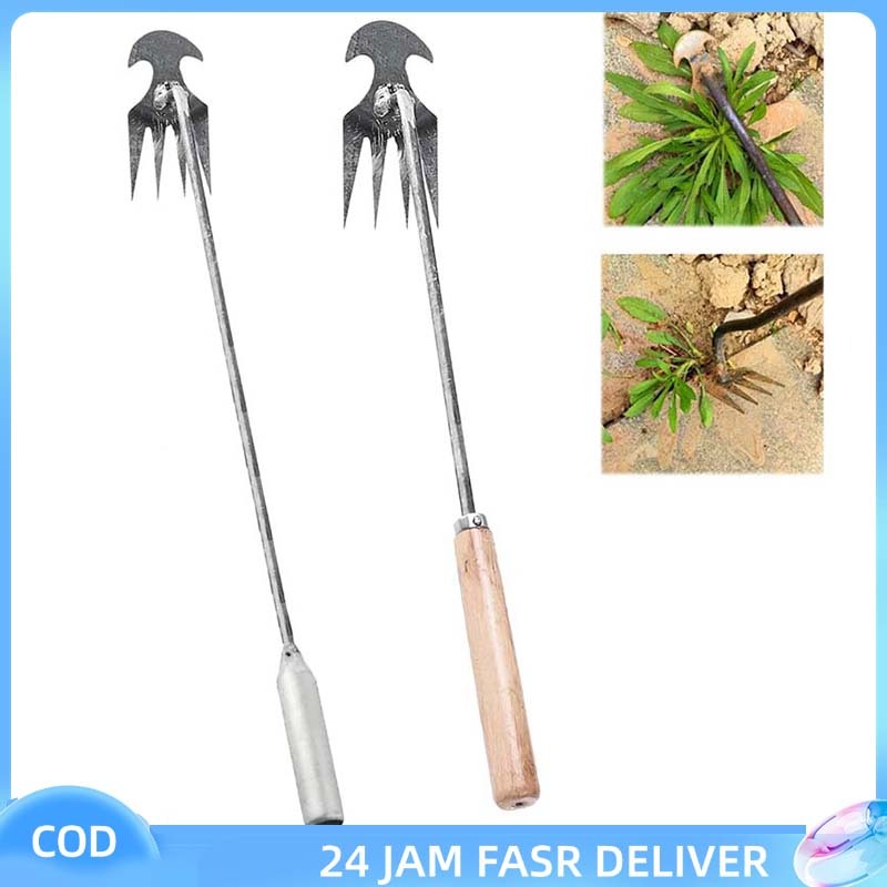 30cm Alat Mencabut Rumput Kayu Pencabut Rumput Liar Alat Pembersih Rumput Liar Alat Pencabut Rumput 