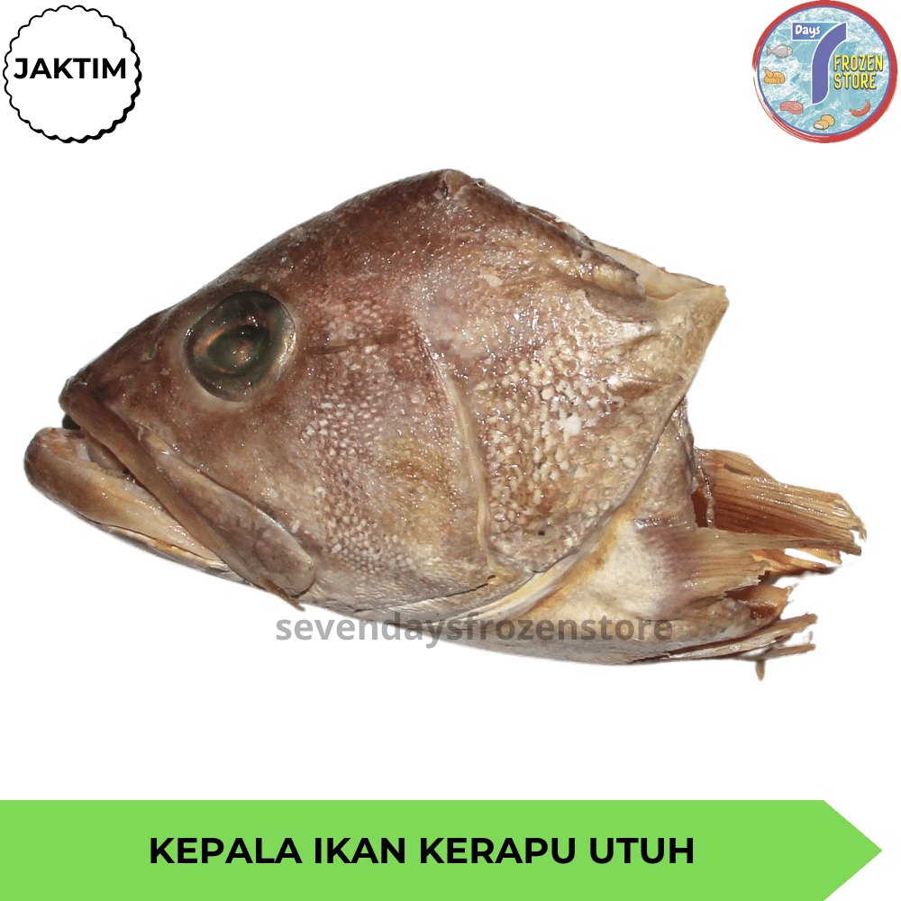 Kepala Ikan Kerapu Utuh Beku Frozen