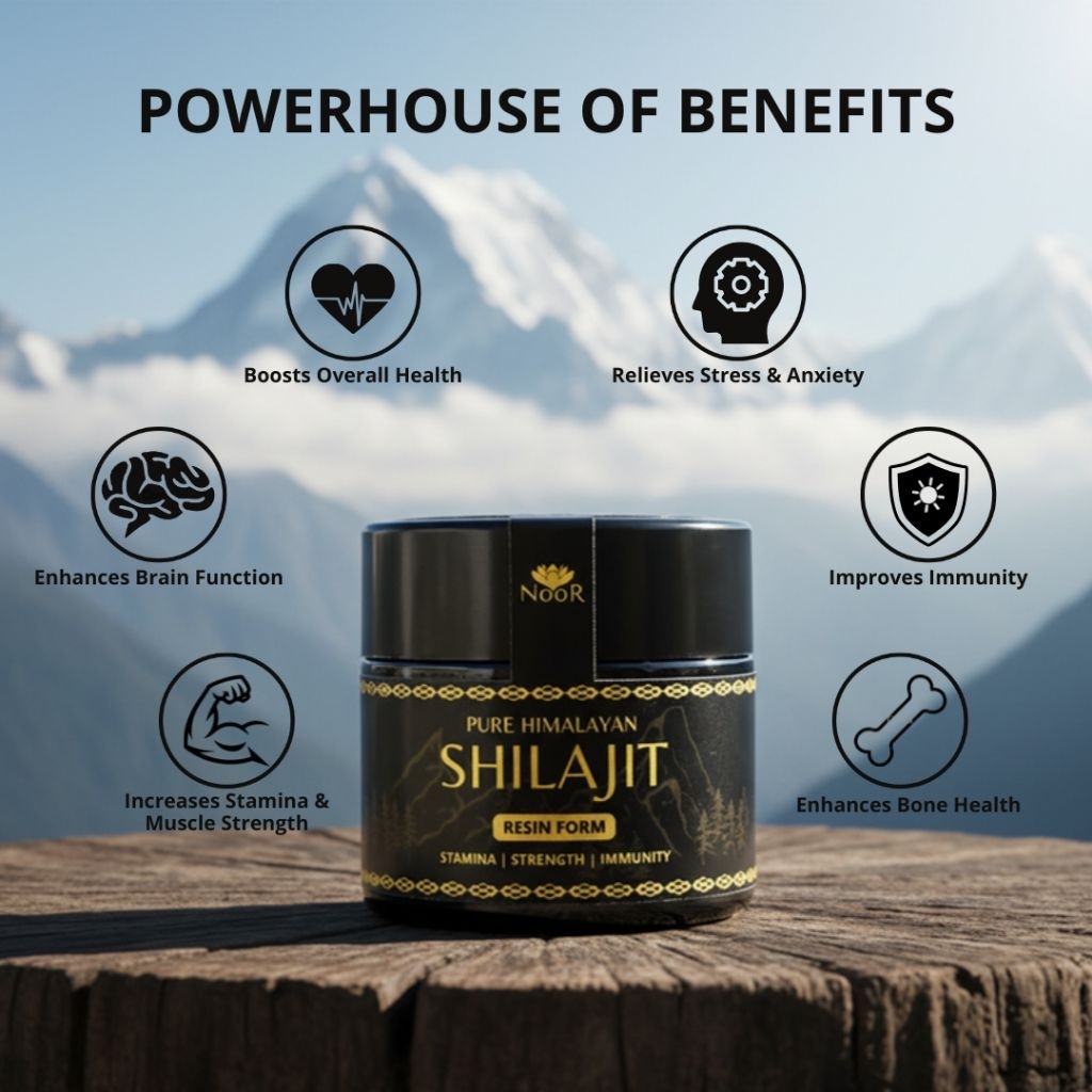 NooR Shilajit Pure Himalayan | 5gr-10gr | Stamina & Immunity Booster | Controlling Sugar