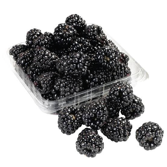 TERMURAH 1kg Blackberry Frozen Buah Beku Mulberry Murbei