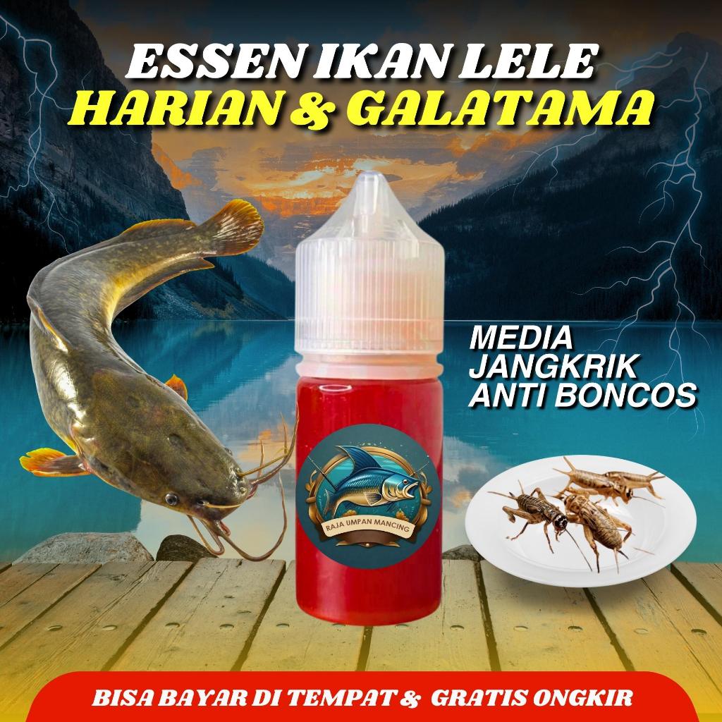 Essen Lele Khusus Harian Lomba Galatama Gacor Siang Malam Media Jangkrik