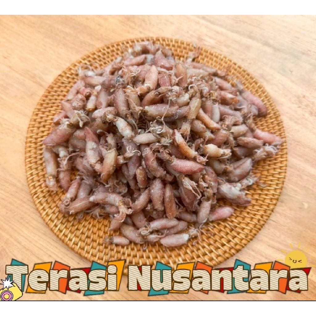 Terasi Nusantara Baby Cumi asin MEDAN SUPER PREMIUM JEMUR KERING 100GR 250GR 500GR ikan asin lsy