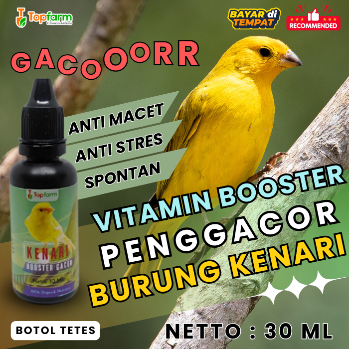 Vitamin Khusus Burung Kenari/ Obat Kenari Serak 30ML/ Booster Burung Kenari/ Obat Kenari Macet Bunyi
