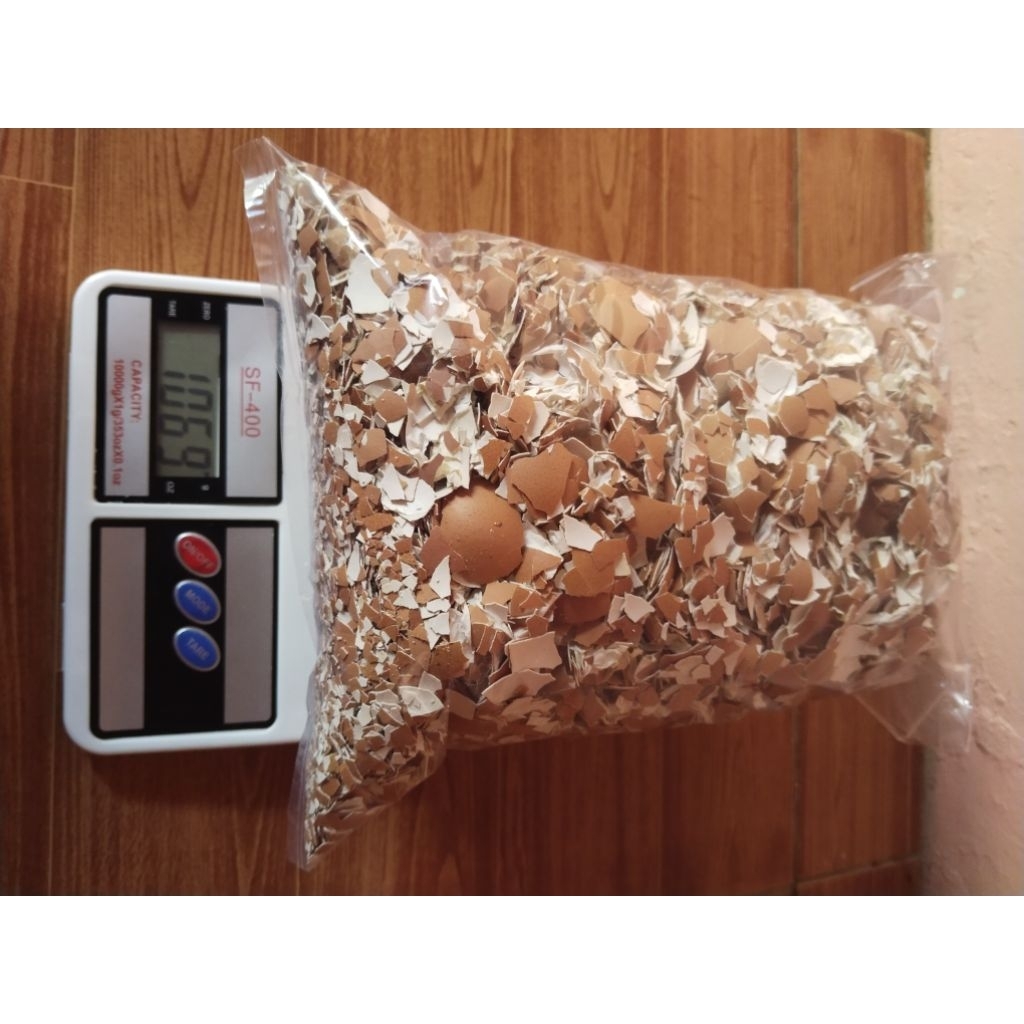 Cangkang Telur Ayam 1 KG