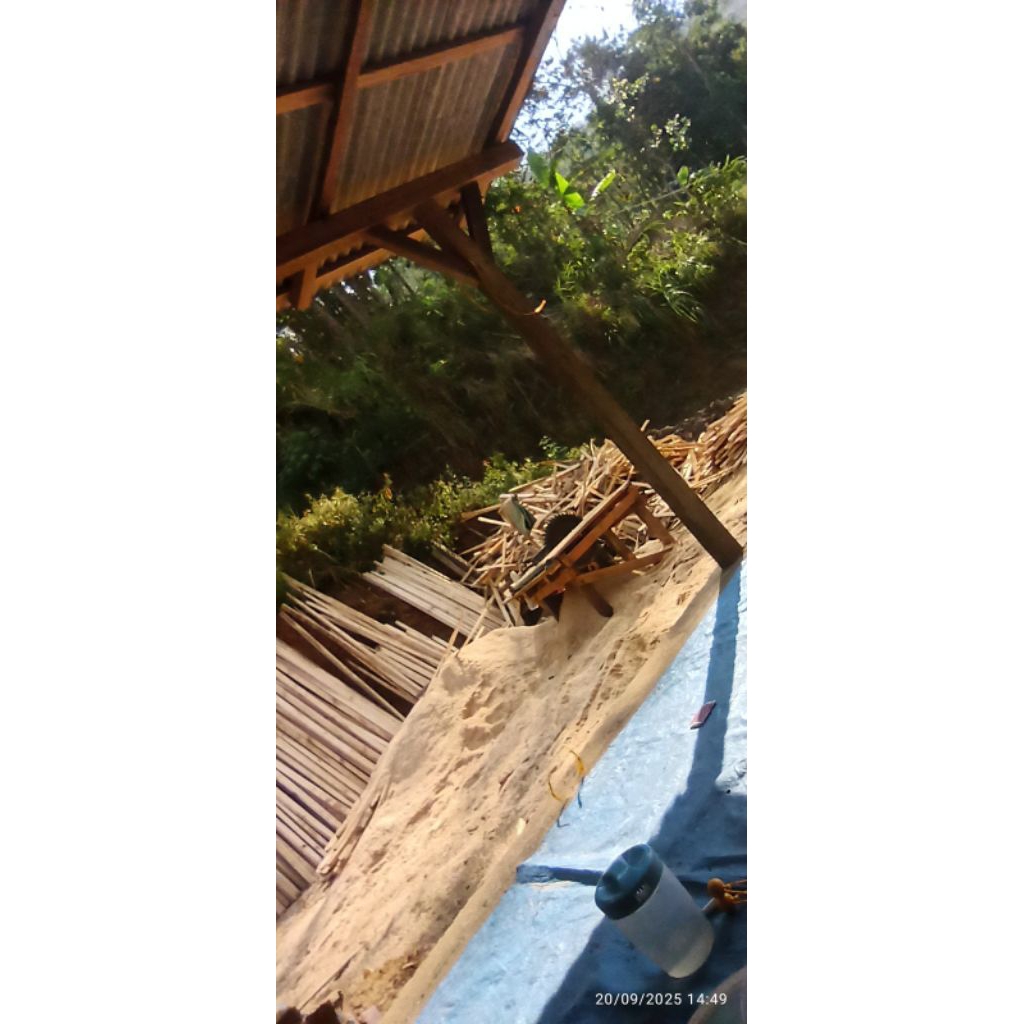 reng kayu jAti merak