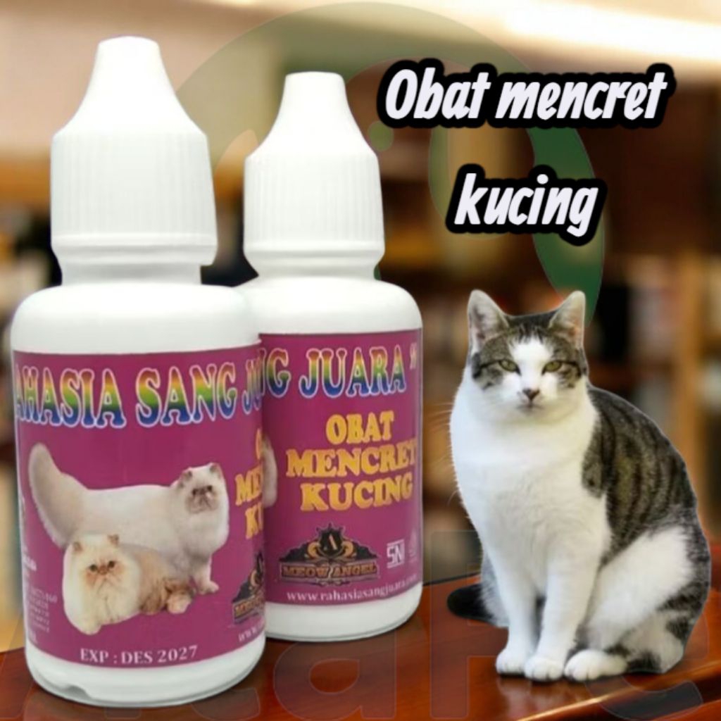 Obat Mencret Kucing | Obat Diare Kucing Kitten & Dewasa Ampuh Atasi Mencret