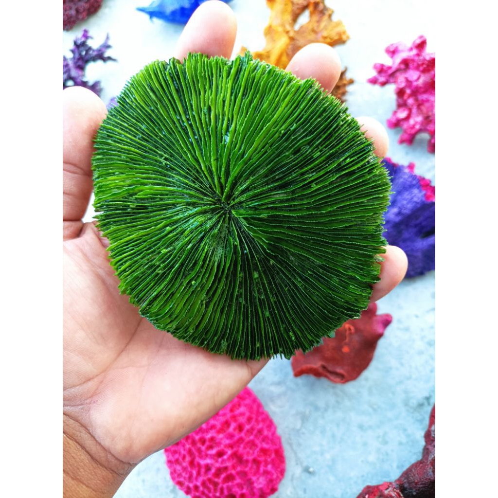 Batu karang warna coral laut batu karang akuarium hijau