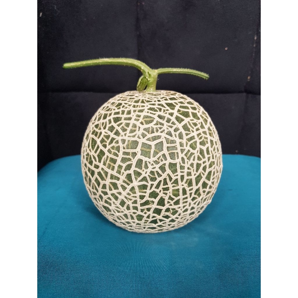 Musk Melon Fujisawa