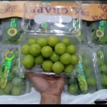 Buah Anggur Shine Muscat Pack Per 1 dus karton