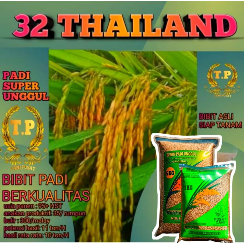 BENIH BIBIT PADI 32 THAILAND JUMBO BENIH SIAP TANAM KEMASAN 2KG