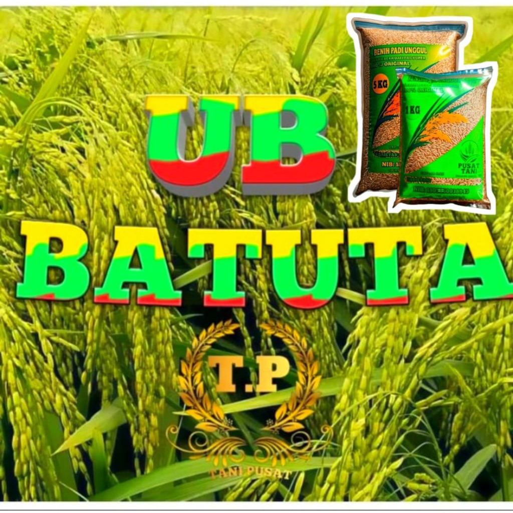 Benih Padi UB BATUTA Super 2KG