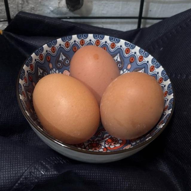 telur ayam negeri isi 10