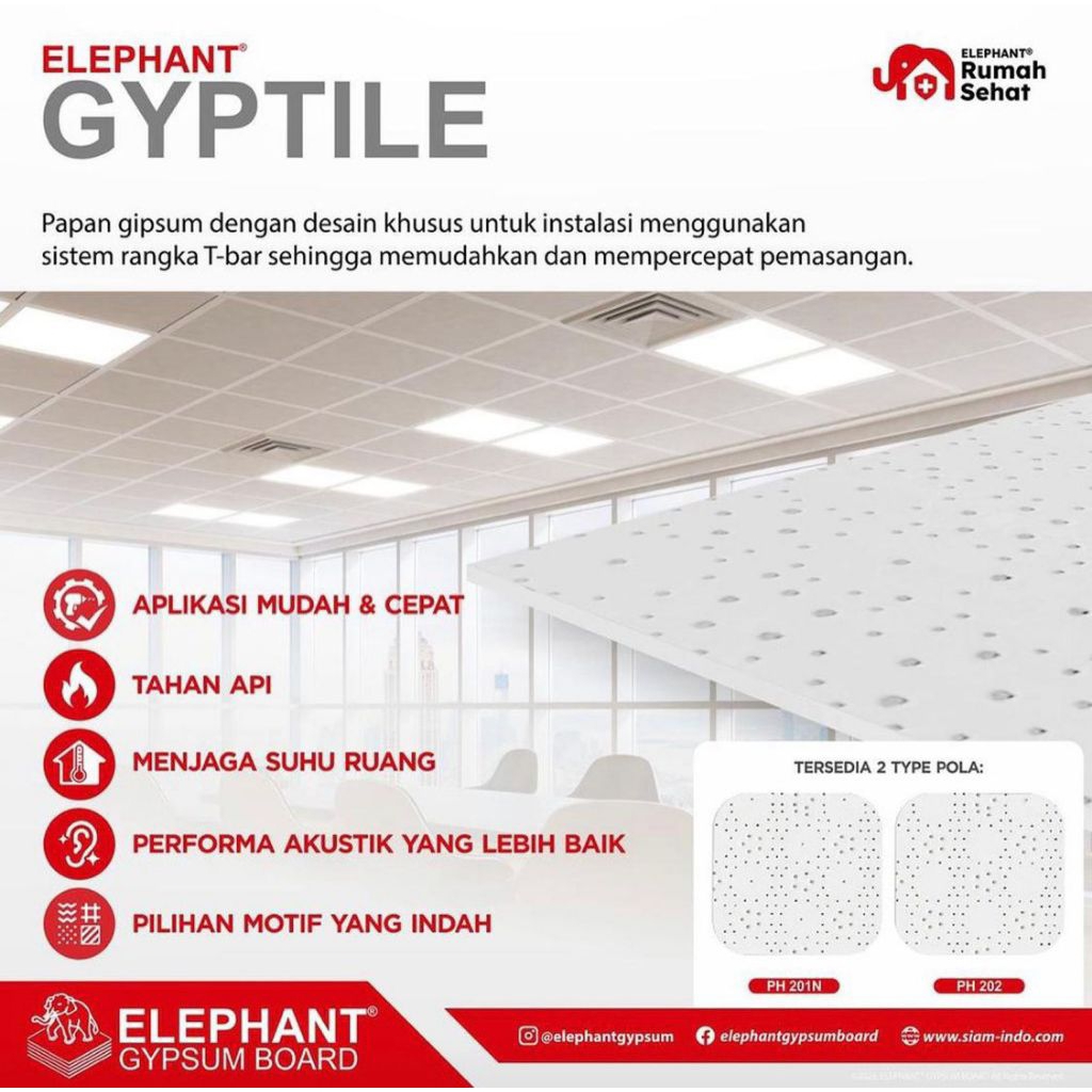 Gyptile / Pinhole Elephant Gypsum