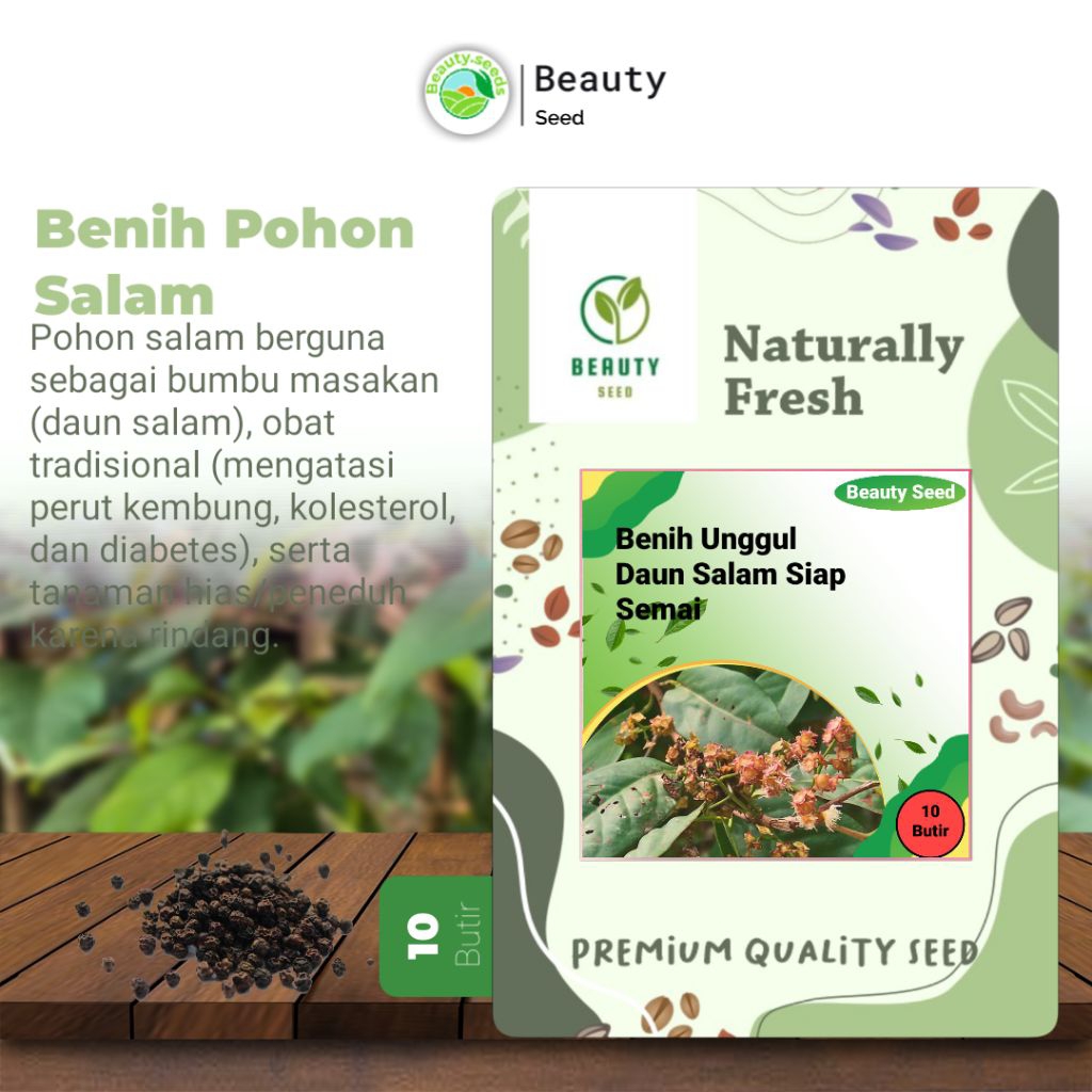 10 Butir Biji Daun Salam Siap Semai - Biji Benih Daun Salam Siap Tanam