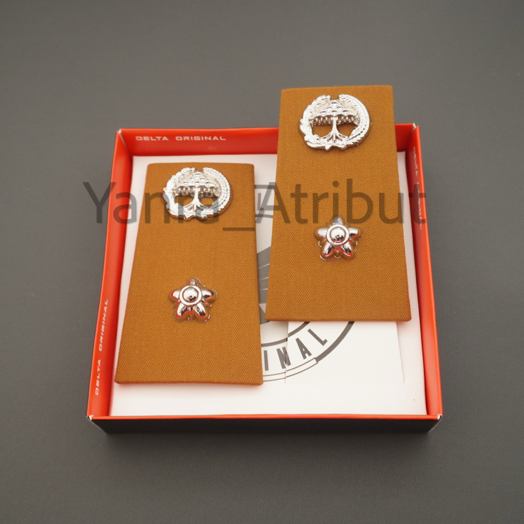 Pangkat Pns Lampung 3A Kain / Pangkat Asn Lampung Premium