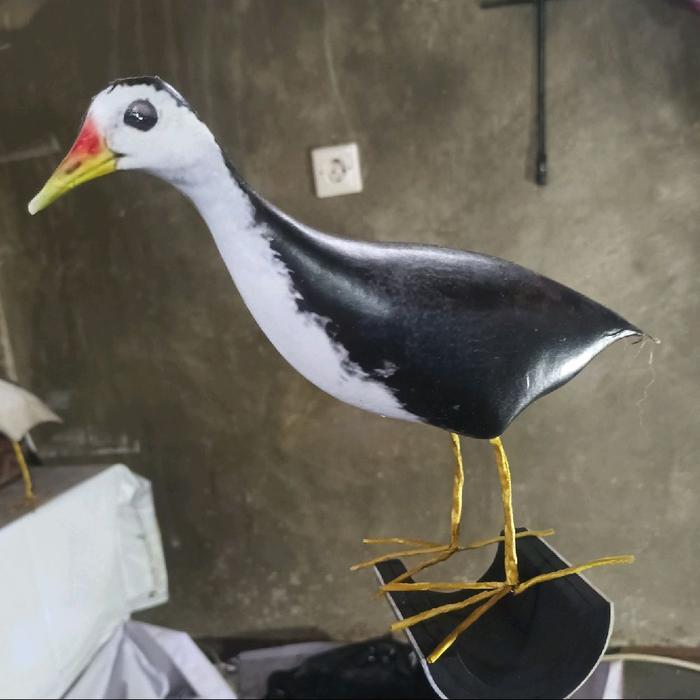 Jontrot boneka mainan burung kareo patung burung manuk ruak ruak jontrot manuk tikusan alis putih mi