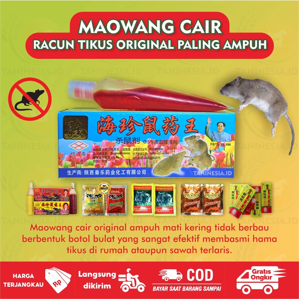 Racun tikus cair maowang cair super ampuh | KOTAK BIRU