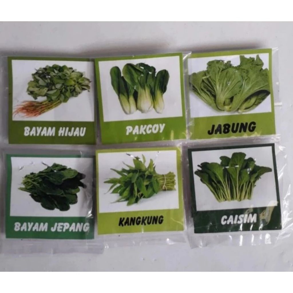 bibit tanaman, bibit sayuran hijau, bibit caisim,bibit bayam, bibit pakcoy,bibit kangkung